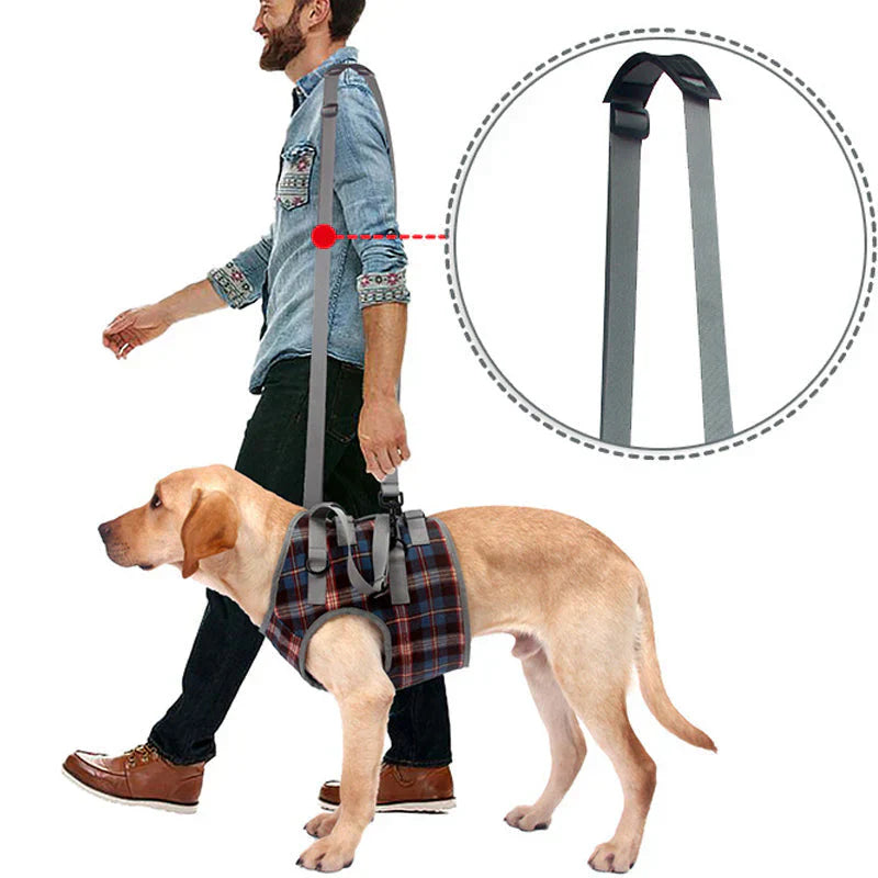Orthopedic Dog Harness — Walking Aid for Front and Back Legs