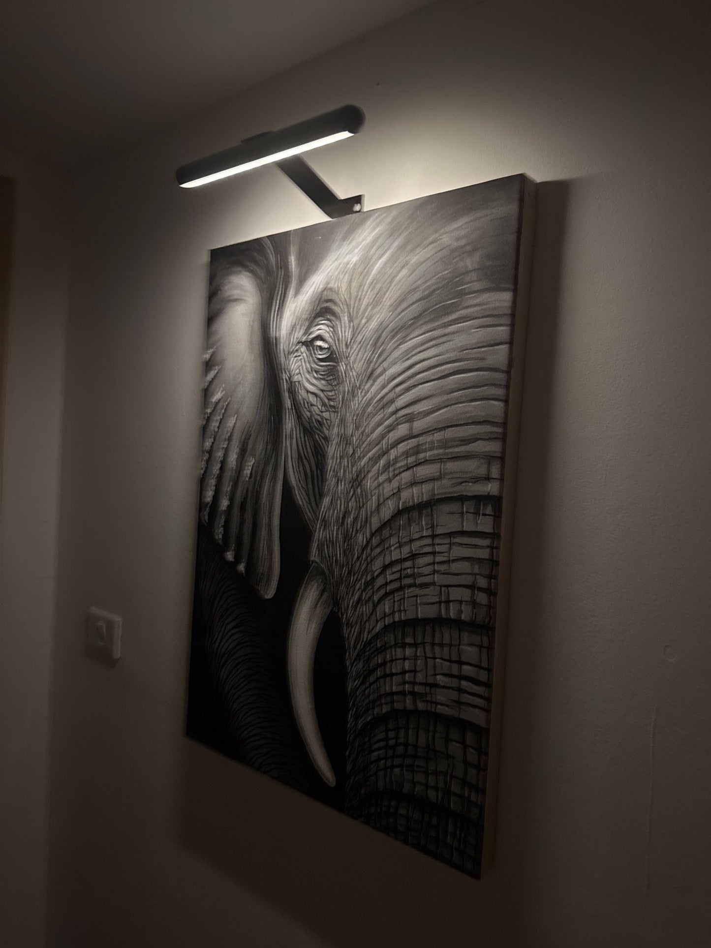 Cordless LED Picture Light – Dimmable Wall Lamp for Artwork
