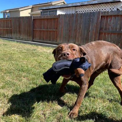 Durable Dog Chew Toy – Withstands Heavy Chewing