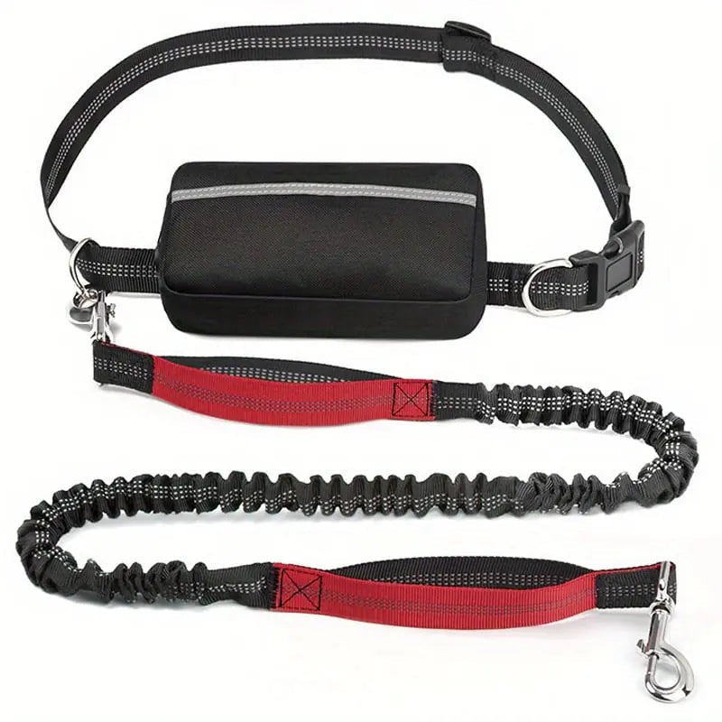 Walk Hands-Free—With a Leash and Bag in One
