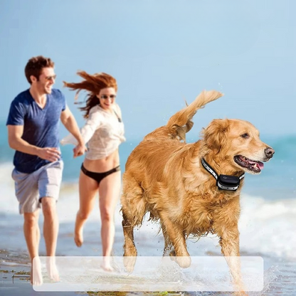 Dog Collar with Remote Control Up to 1,000 Meters — Finally, Relaxing Walks