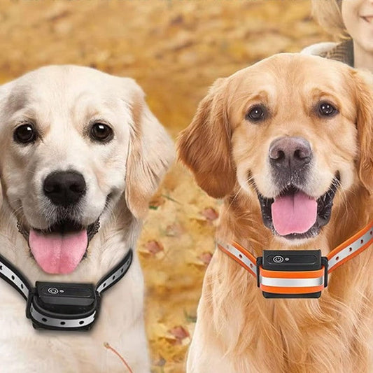 Dog Collar with Remote Control Up to 1,000 Meters — Finally, Relaxing Walks